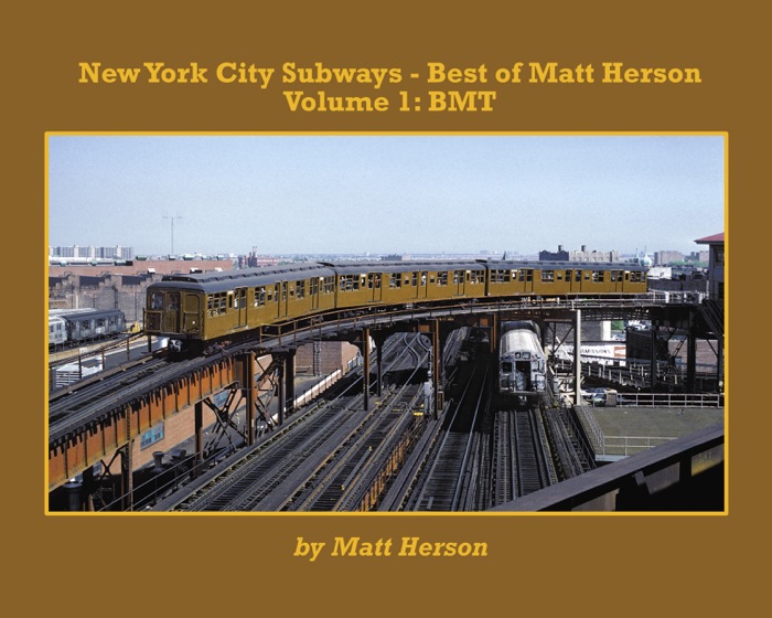 NYC Subways - Best of Matt Herson