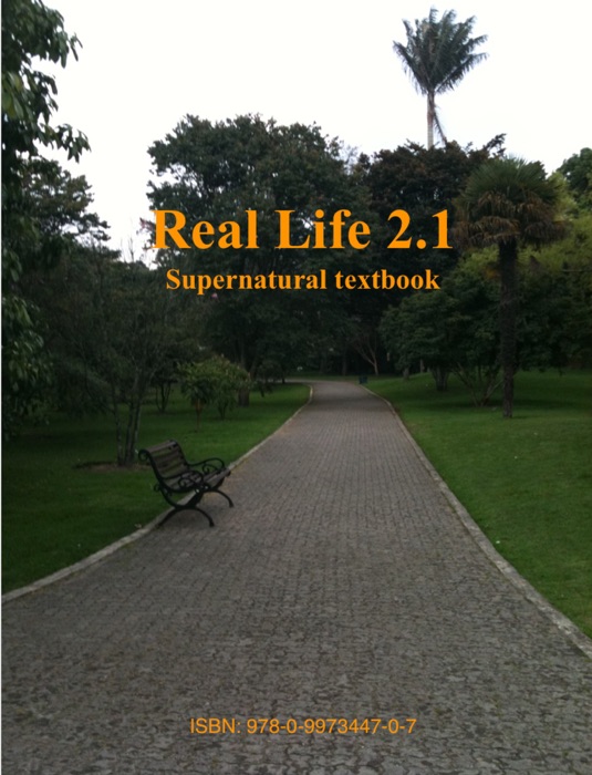 Real Life 2.1