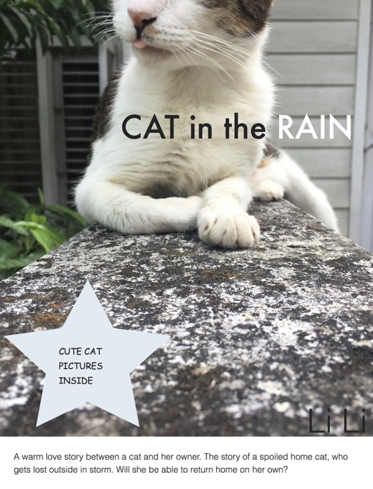 Cat in the Rain