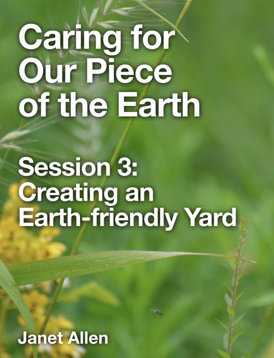 Caring for Our Piece of the Earth 3