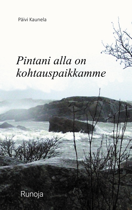 Pintani alla on kohtauspaikkamme