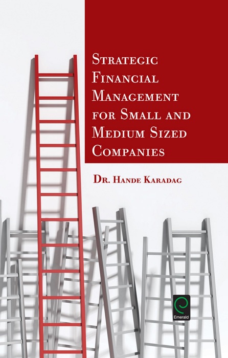 Strategic Financial Management for Small and Medium Sized Companies