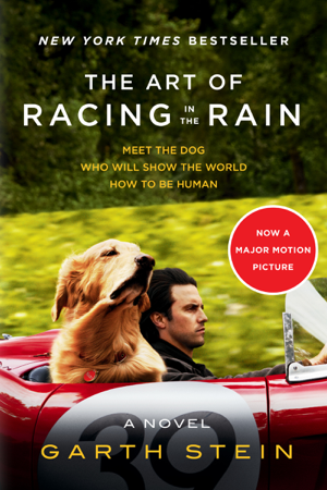 The Art of Racing In the Rain - Garth Stein