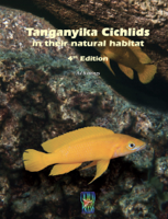 Ad Konings - Tanganyika cichlids in their natural habitat artwork