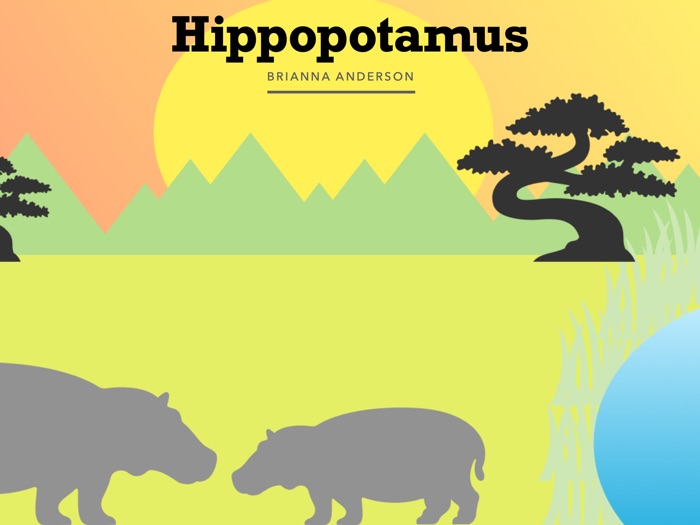 Hippopotamus