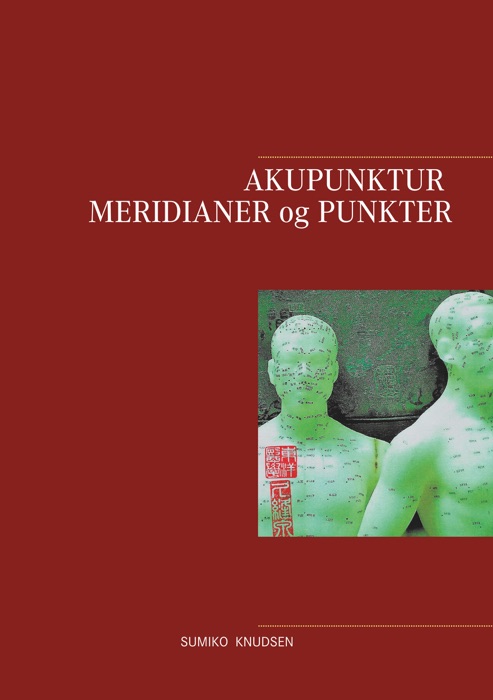 Akupunktur Meridianer og Punkter