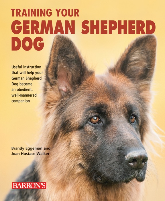 Training Your German Shepherd Dog