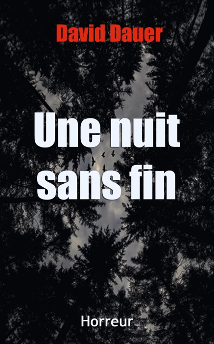 Une nuit sans fin