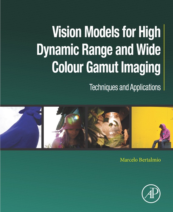 Vision Models for High Dynamic Range and Wide Colour Gamut Imaging