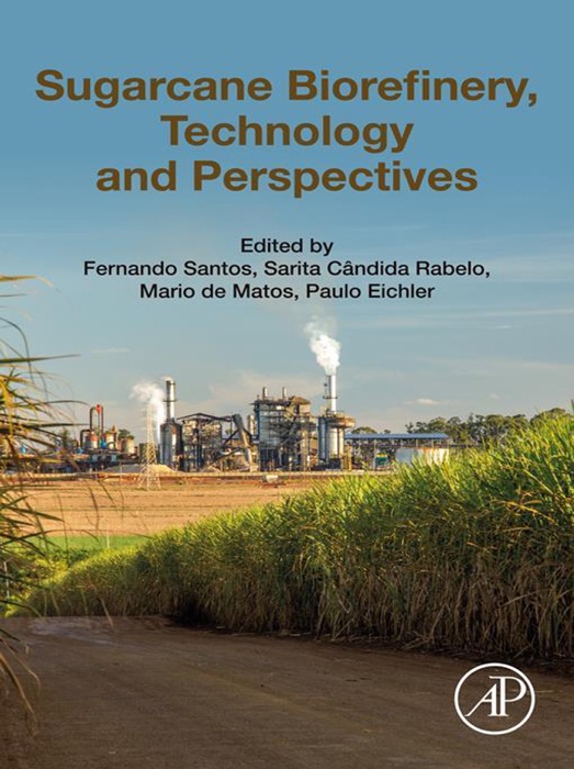 Sugarcane Biorefinery, Technology and Perspectives