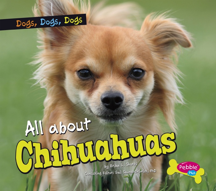 All about Chihuahuas