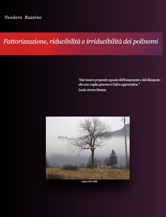 Fattorizzazione, riducibilità e irriducibilità dei polinomi