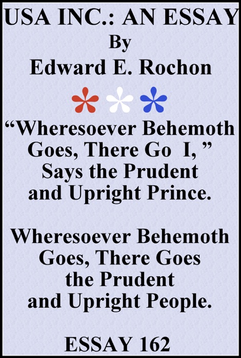 USA Inc.: An Essay