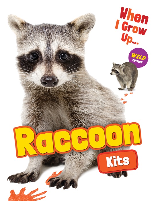 Raccoon Kits