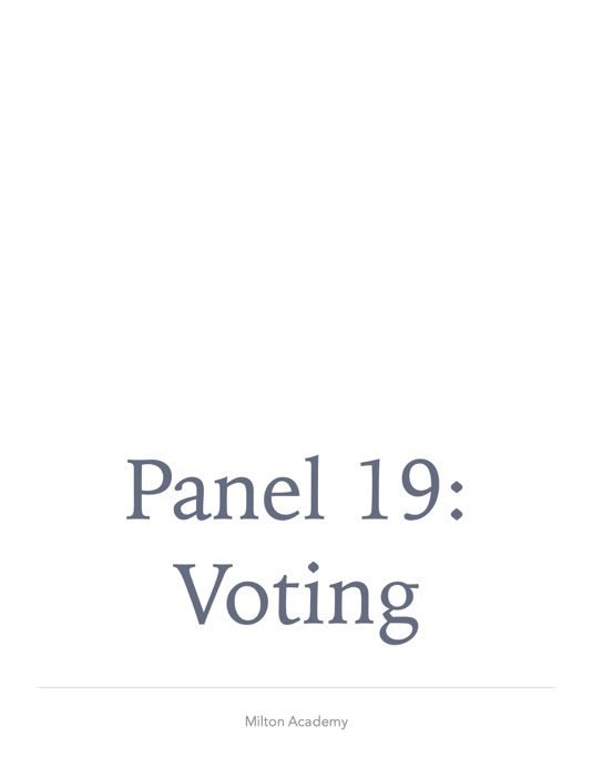 Panel 19:  Voting