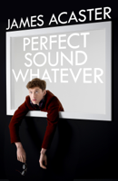 James Acaster - Perfect Sound Whatever artwork