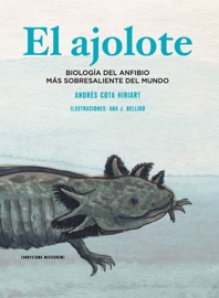 El ajolote - Andrés Cota Hiriart