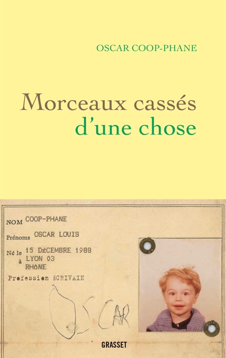 Morceaux cassés d'une chose