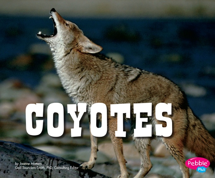 Coyotes