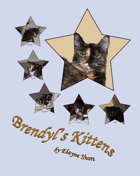 Brendyl's Kittens