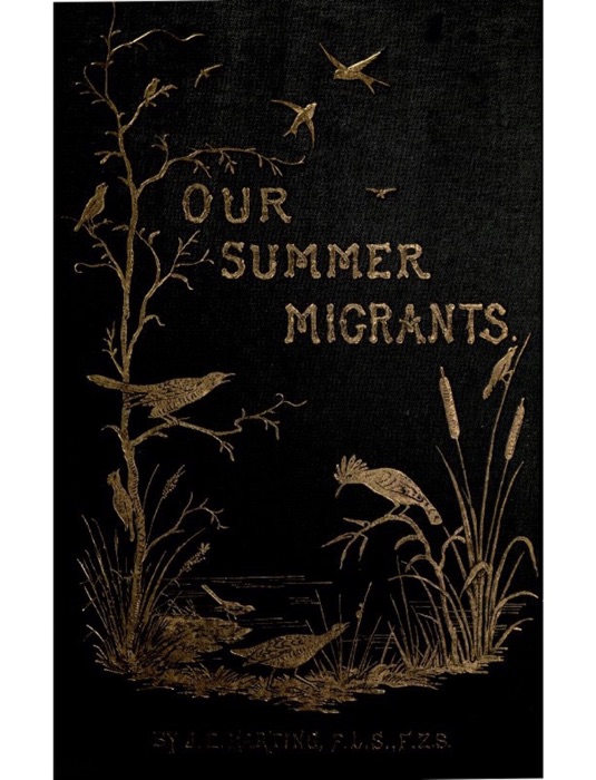 Our Summer Migrants