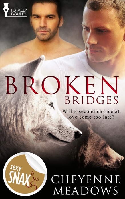 Broken Bridges