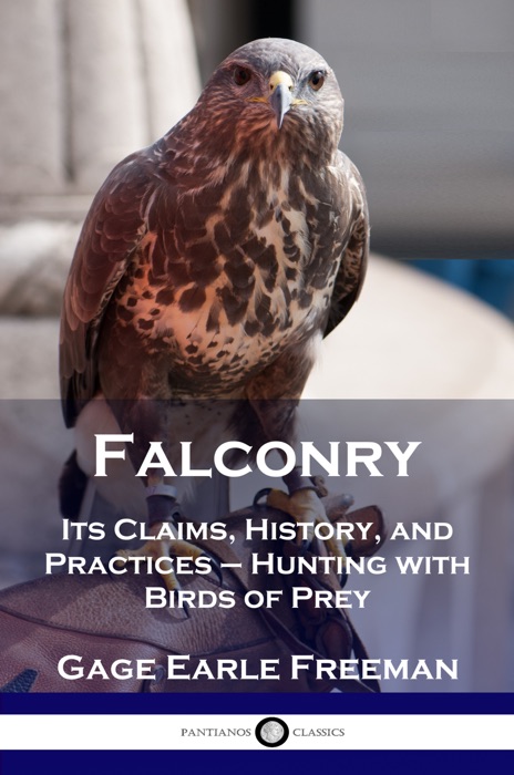 Falconry