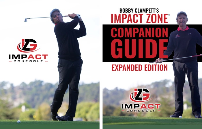 The Impact Zone® Companion Guide Expanded Edition