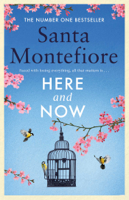 Santa Montefiore - Here and Now artwork