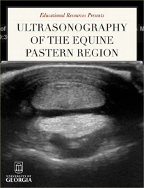 Ultrasonography of the equine pastern region
