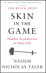 Skin in the Game Book Cover