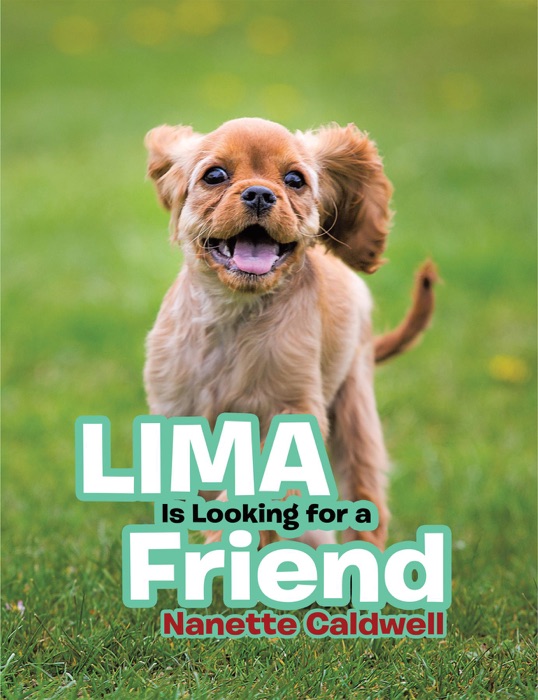 Lima Is Looking for a Friend