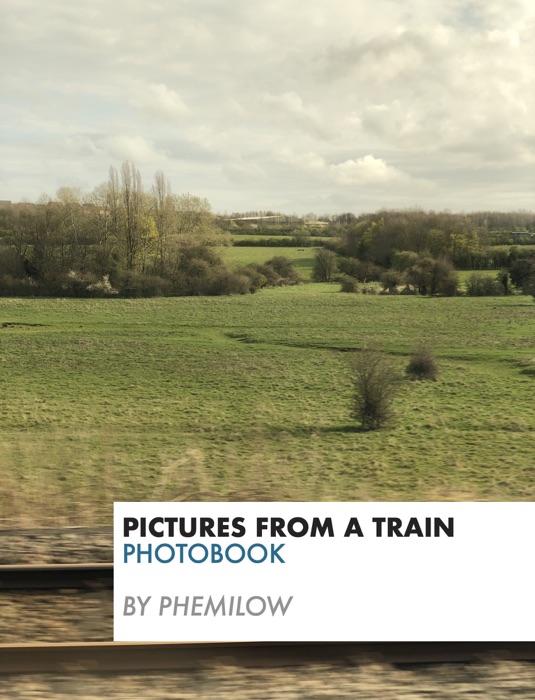 Pictures From A Train