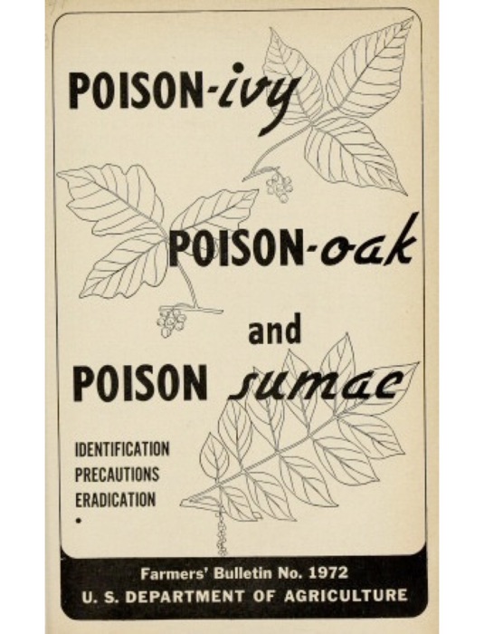Poison-ivy, Poison-oak and Poison Sumac