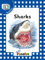 Sara Wernham - Sharks artwork