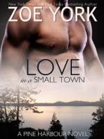 Zoe York - Love in a Small Town artwork