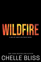 Chelle Bliss - Wildfire artwork
