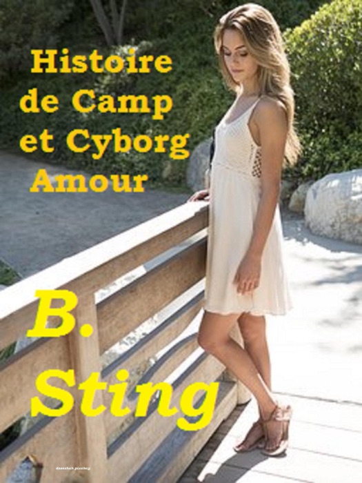 Histoire de Camp et Cyborg Amour