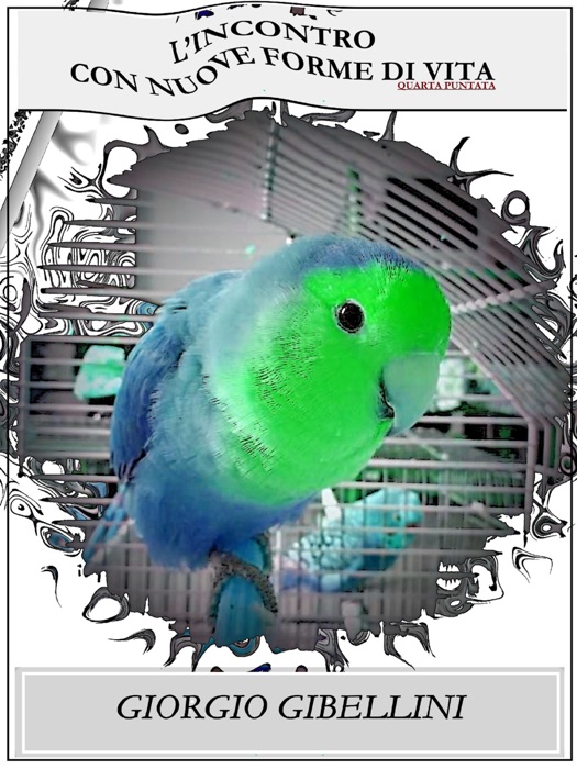 L’incontro con nuove forme di vita