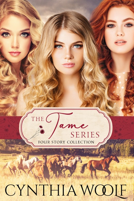 The Tame Series