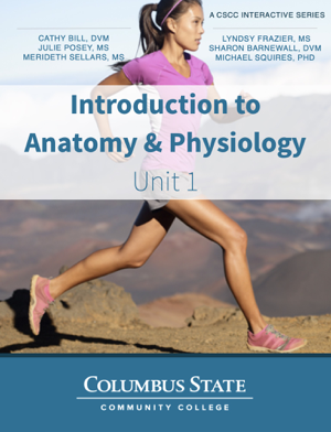 Read & Download Introduction to Anatomy and Physiology - Unit 1 Book by Cathy Bill, Julie Posey, Merideth Sellars, Lyndsy Frazier, Sharon Barnewall & Michael Squires Online