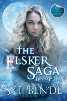 S.T. Bende - The Elsker Saga Box Set: Books 1-3 + Novella artwork