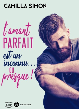 L'Amant parfait est un inconnu... ou presque ! PDF Download