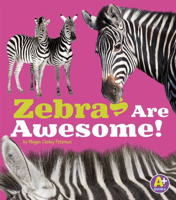 Zebras Are Awesome!