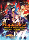 Magic User: Reborn in Another World as a Max Level Wizard (Light Novel) Vol. 1 - Mikawa Souhei & Ryota-H