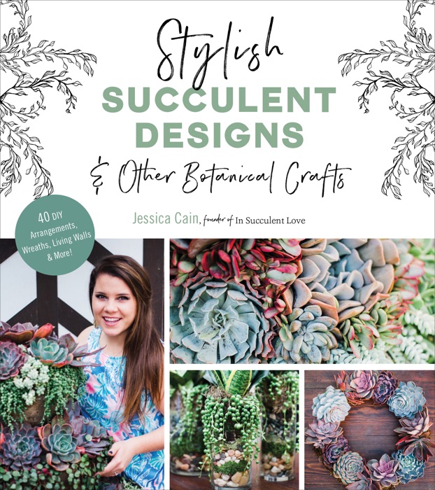 Stylish Succulent Designs