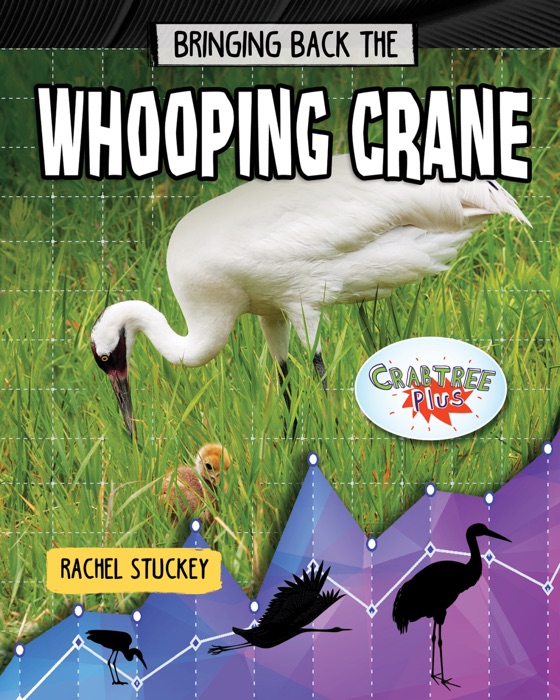 Bringing Back the Whooping Crane