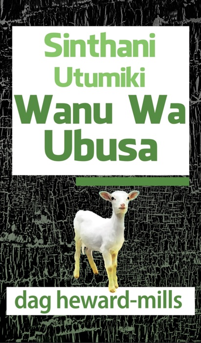 Sinthani Utumiki Wanu Wa Ubusa