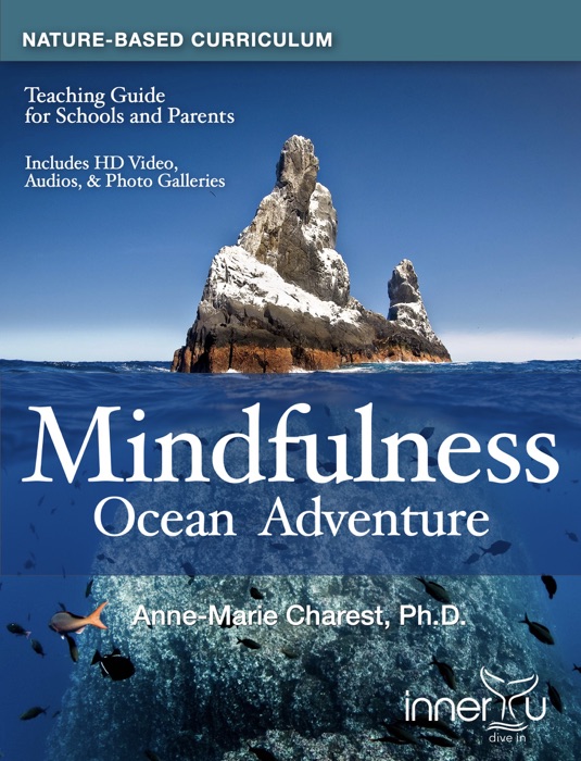 Mindfulness Ocean Adventure