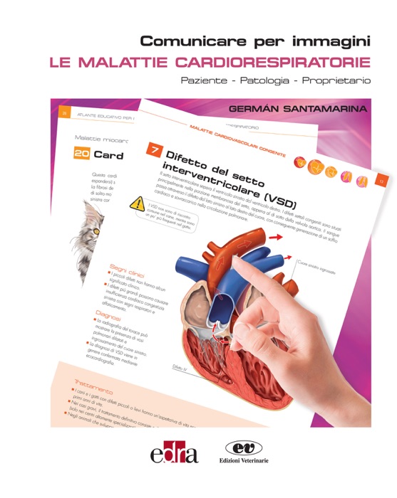 Le malattie cardiorespiratorie